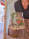 Terrarium Classic Medium